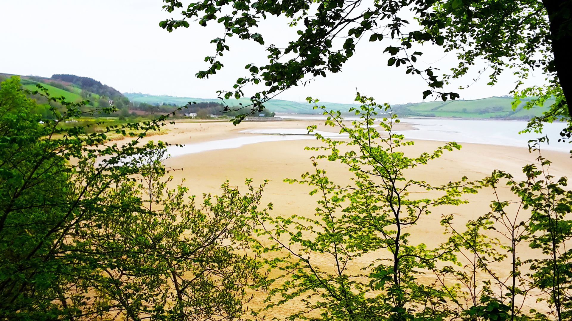 Llansteffan beach from the castle path